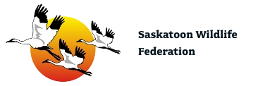 Saskatoon Wildlife Federation Saskatoon Wildlife Federation